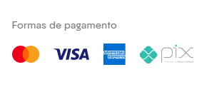 Ícones das formas de pagamento aceitas no e-commerce, representando as bandeiras de cartão e o Pix